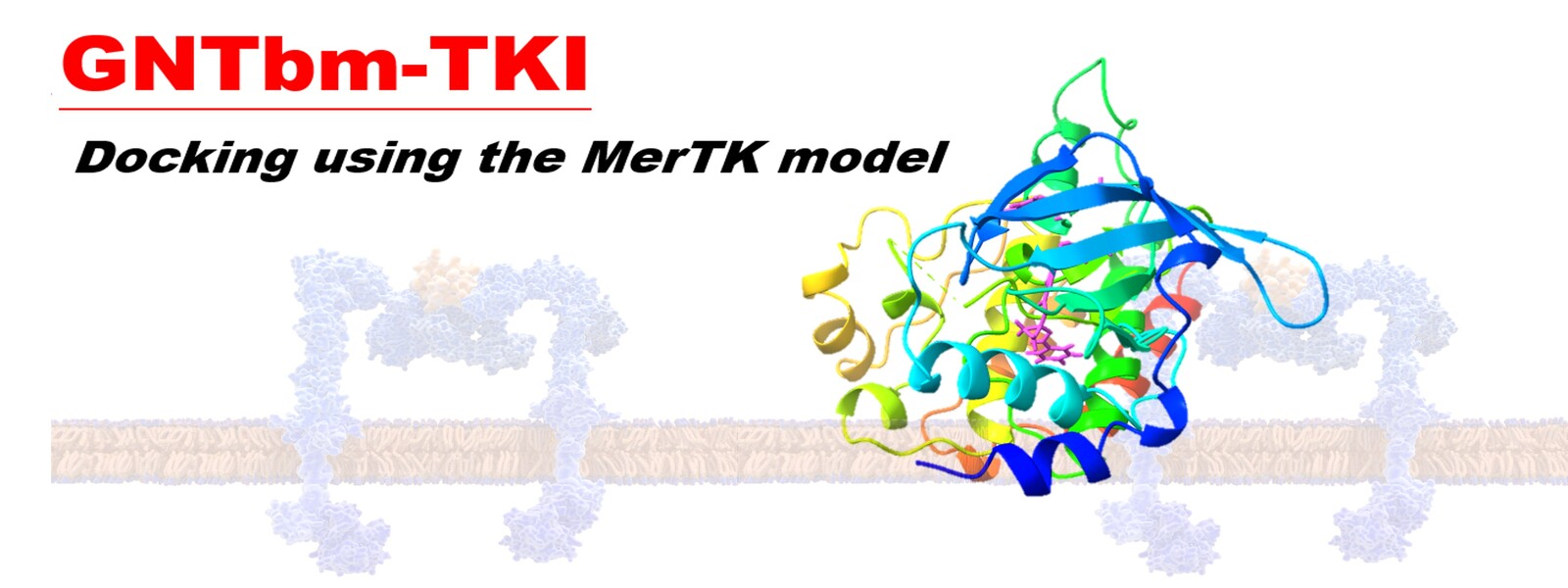 GNTbm-TKI